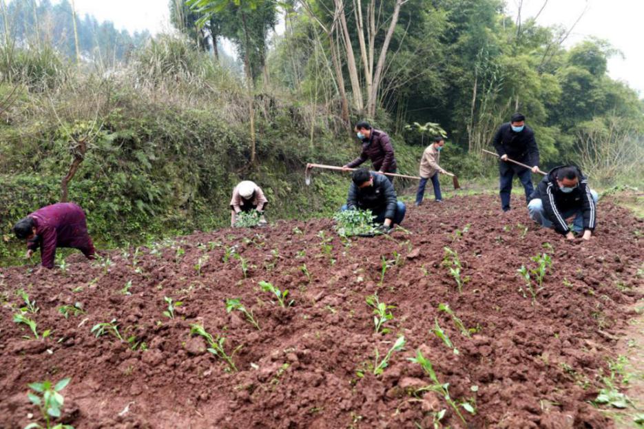 党旗在抗疫一线高高飘扬新闻,让党旗在抗疫战斗第一线高高飘扬