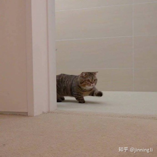 菲律宾是个怎样的国家,菲律宾是个怎样的国家知乎问答