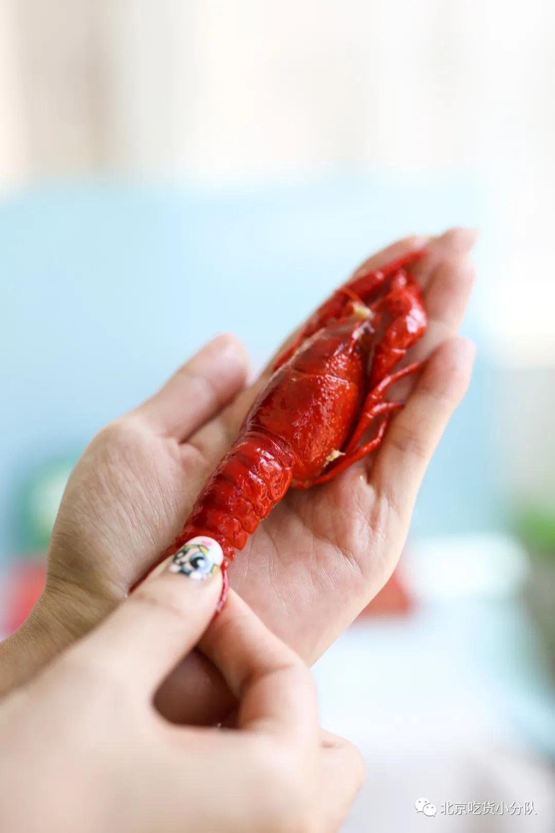 卖1百多亿的网红,卖一百多万商品的网红能赚多少钱