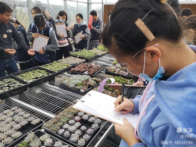 体耕读文化彰劳动之美——记合肥三十九中劳动研学活动