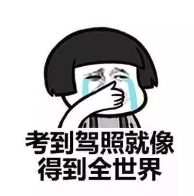 为什么考驾照花那么多钱,考驾照为什么要花那么多钱