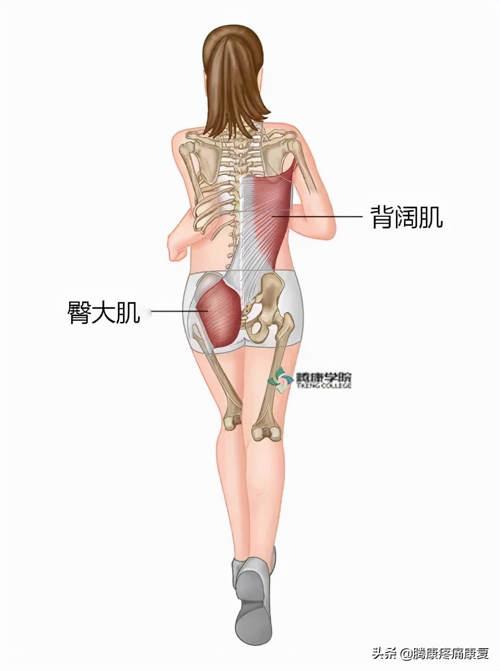背阔肌综合征病历,背阔综合症