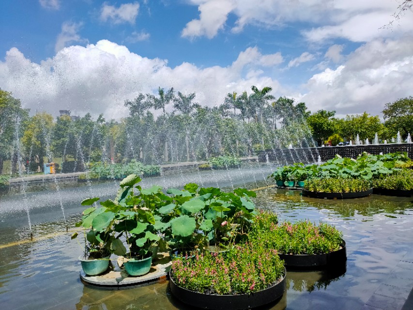 厦门园博苑月环,厦门园博苑免费政策