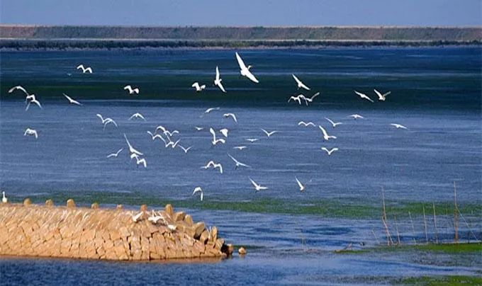 上海全部游玩,上海一日游景点推荐最全攻略