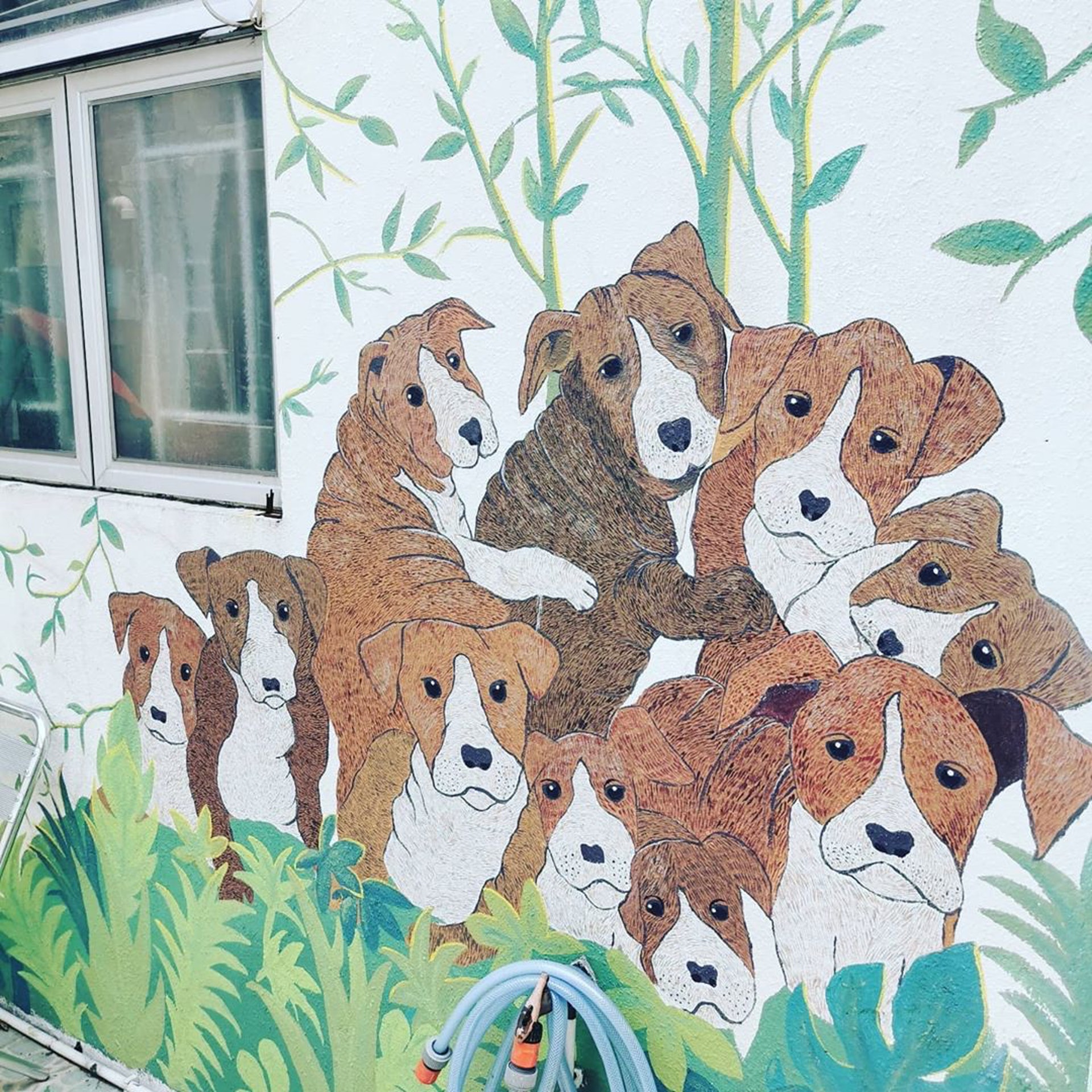 百年树屋，天空之镜，红砖市集，跳蚤市场…尽在锦田