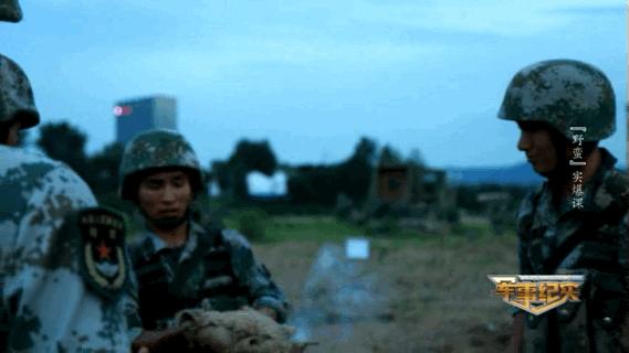 被奶狗偷亲也不能动!淡定背后,军人们经历了啥……