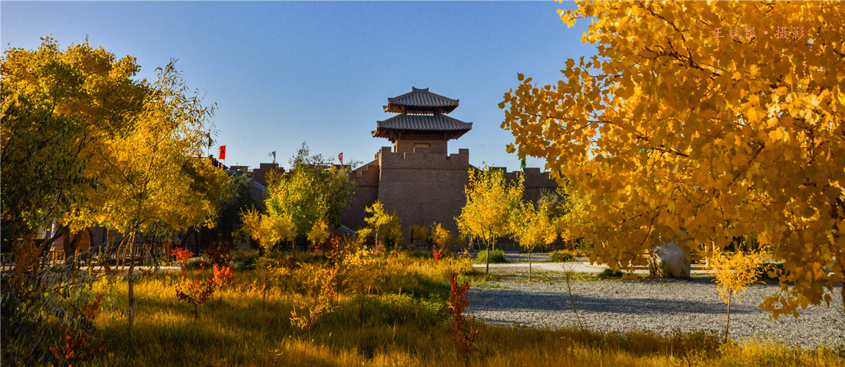 第一次去看胡杨的感触,第一次体验到沙漠乐趣