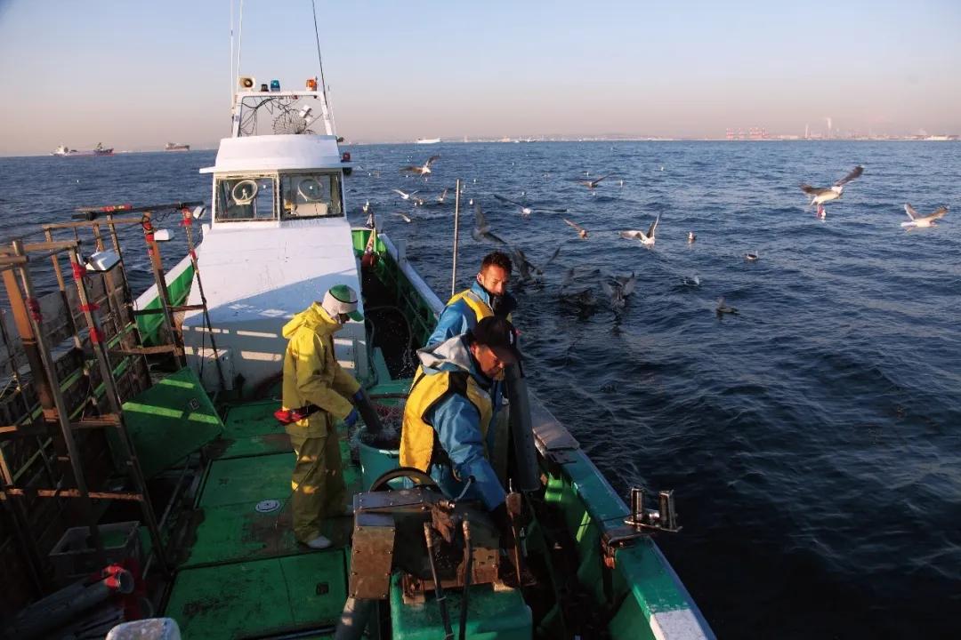 用6年时间，走访47地拜访2000人，退役后的“亚洲足球先生”中田英寿只专注做了一件事