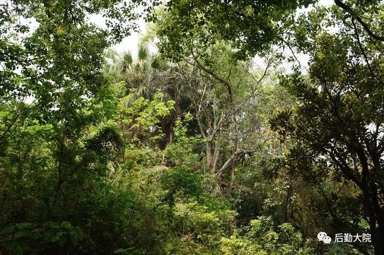 福州烟台山，往事并不如烟