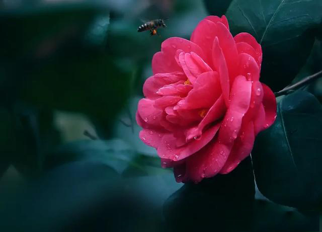 摄影有哪些乐趣和意义,摄影爱好者都喜欢拍什么