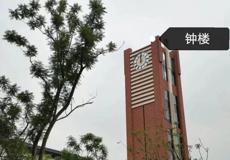 重庆渝北最抢手的小学初中,渝北区第二梯队初中