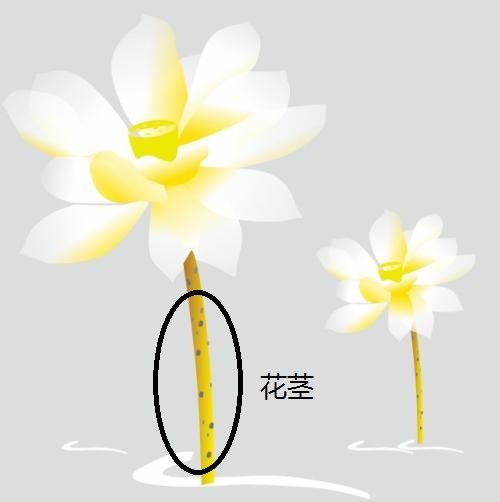 幼儿启蒙教育佩奇,孩子第一天去幼儿园怎么样