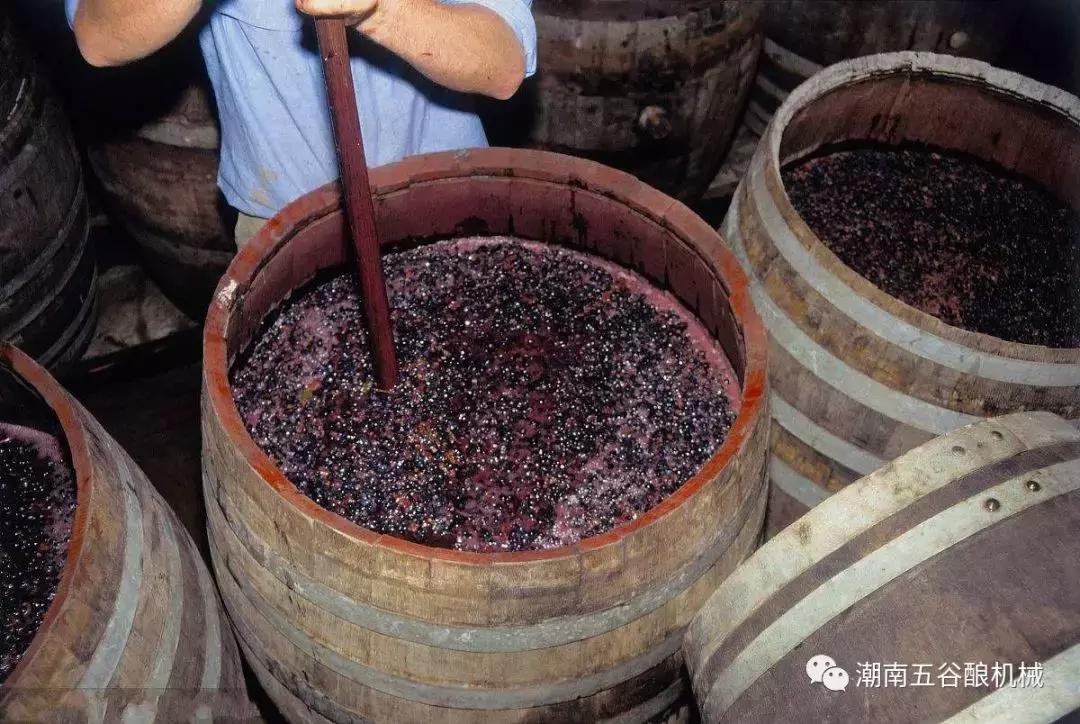 自酿干红葡萄酒的方法,果酒的制作方法自酿葡萄酒