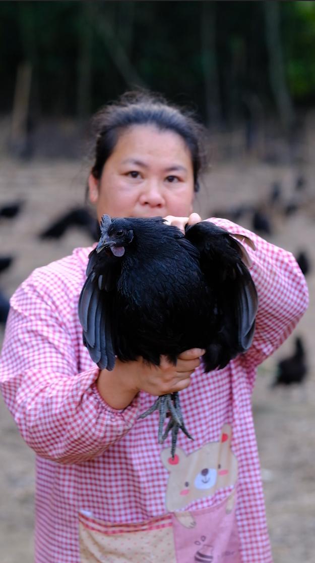 全身灰黑的鸟像鸡一样大不会飞,全身都是黑色的鸡