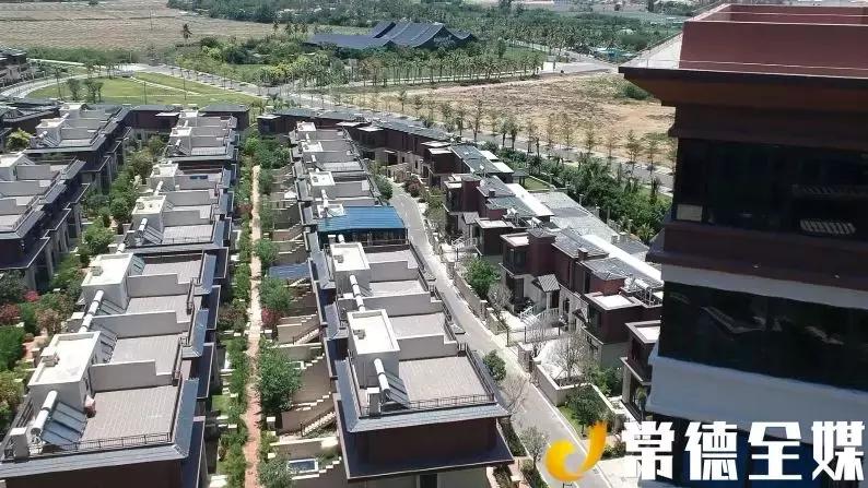 在海南发家的企业家,在海南工作的湖南人