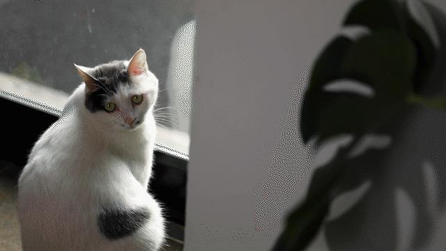 认真吃饭好好睡觉保持开心,认真吃饭好好爱自己