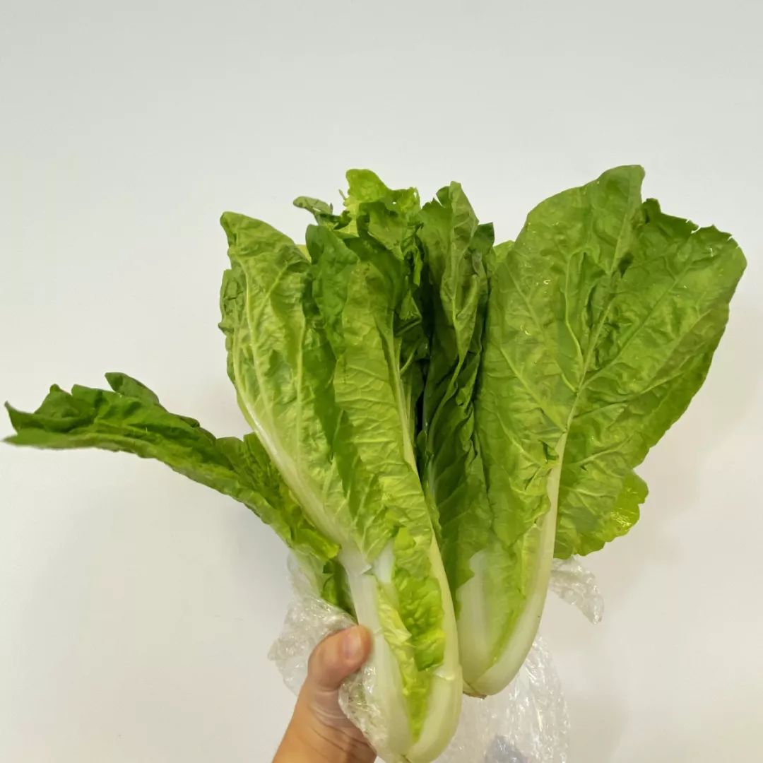 无锡买菜app,无锡买菜软件哪个好用又实惠