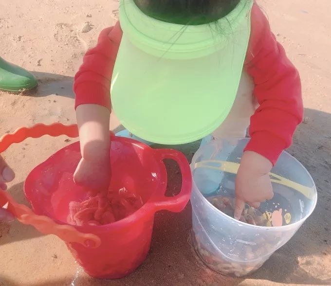 鲅鱼圈最新的旅游攻略,鲅鱼圈最强攻略