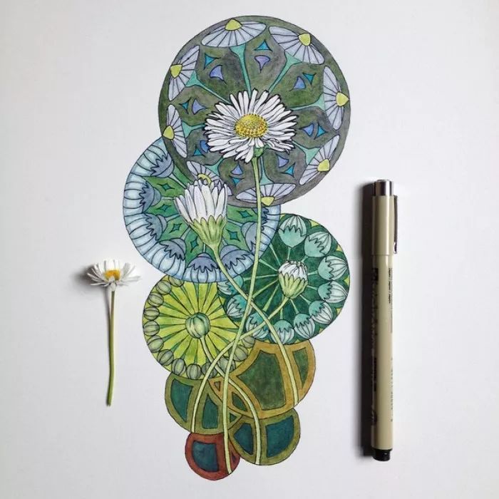 简单针管笔手绘花,简单易学针管笔手绘