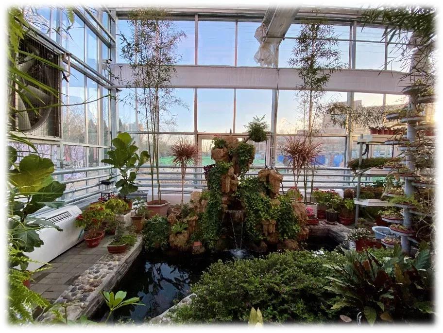 天津市高级中等学校,天津市天津中学高考录取率