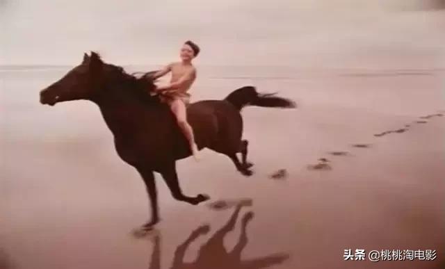 值得一看的一百部电影,重温经典100部电影