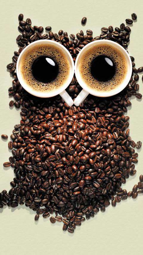 如果你喝下1000罐红牛会怎样,喝下1000罐红牛人的身体会怎么样