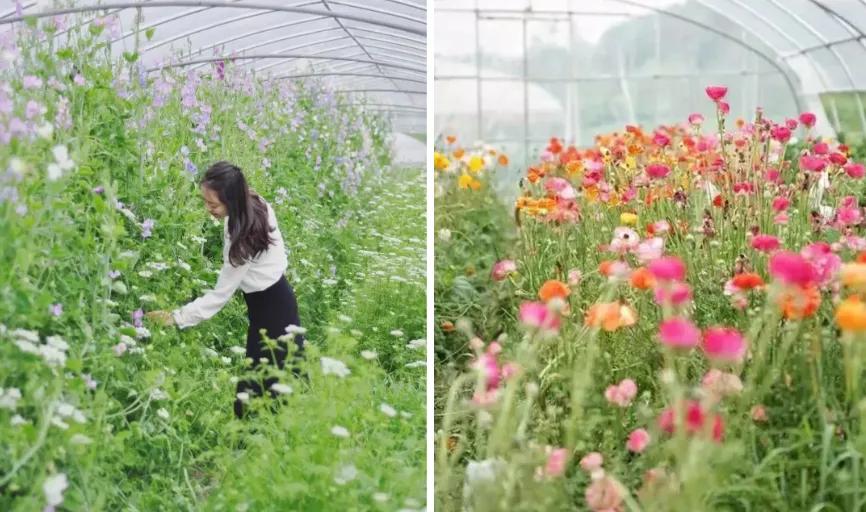 最会说情话的人全集,最会说情话的人