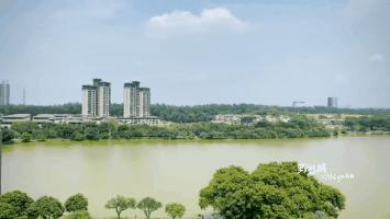 松山湖风景区松湖烟雨是哪个门,松山湖景区松湖烟雨有哪些好玩的