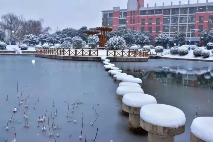 河南理工大学110周年直播,河南大学110周年生日快乐