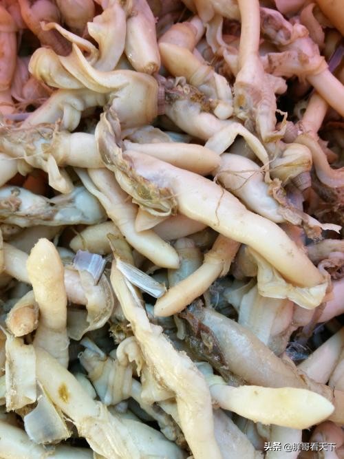 蛏子人参,海边人天天吃海鲜对身体好处