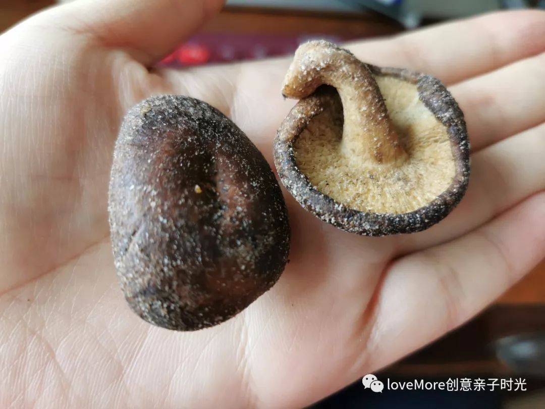 「和More妈聊聊天」最近新发现的好物推荐