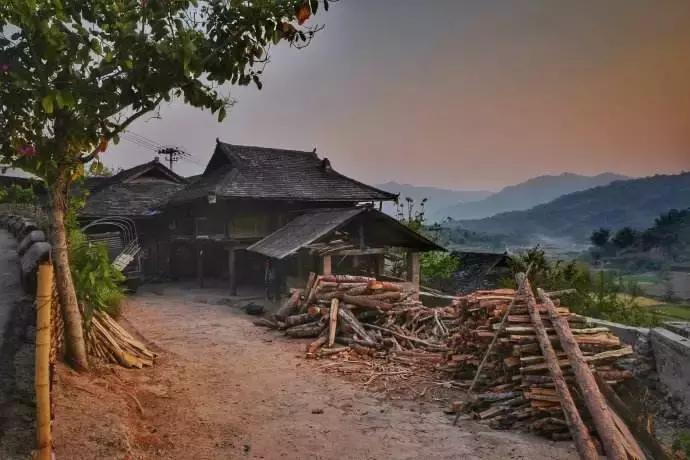 谁才是真正的皇家贡茶,皇家贡茶有多厉害