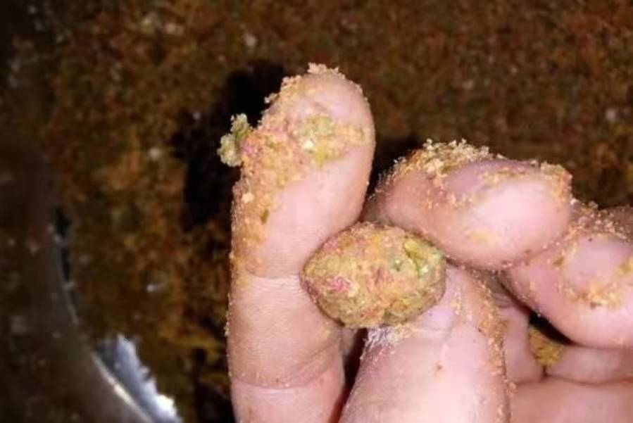 小鱼太多钓不上来一直空竿,为什么夏季钓不到板鲫