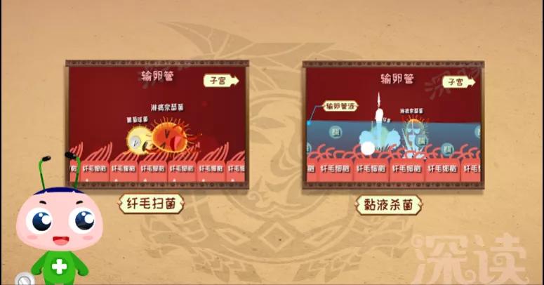 输卵管炎咋来的？*生活性**过频、人流惹的祸？看动画教你做明白女人