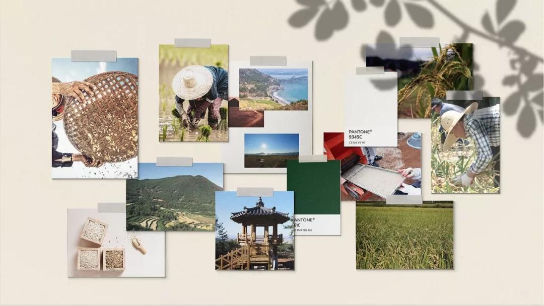 大米包装创新插画,最漂亮的大米包装设计