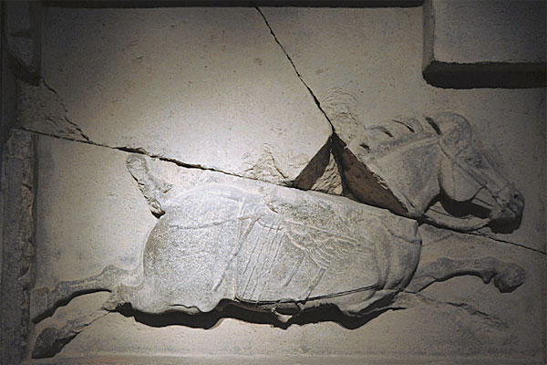 汗血宝马在现实生活真实存在吗,汗血宝马是真的存在吗