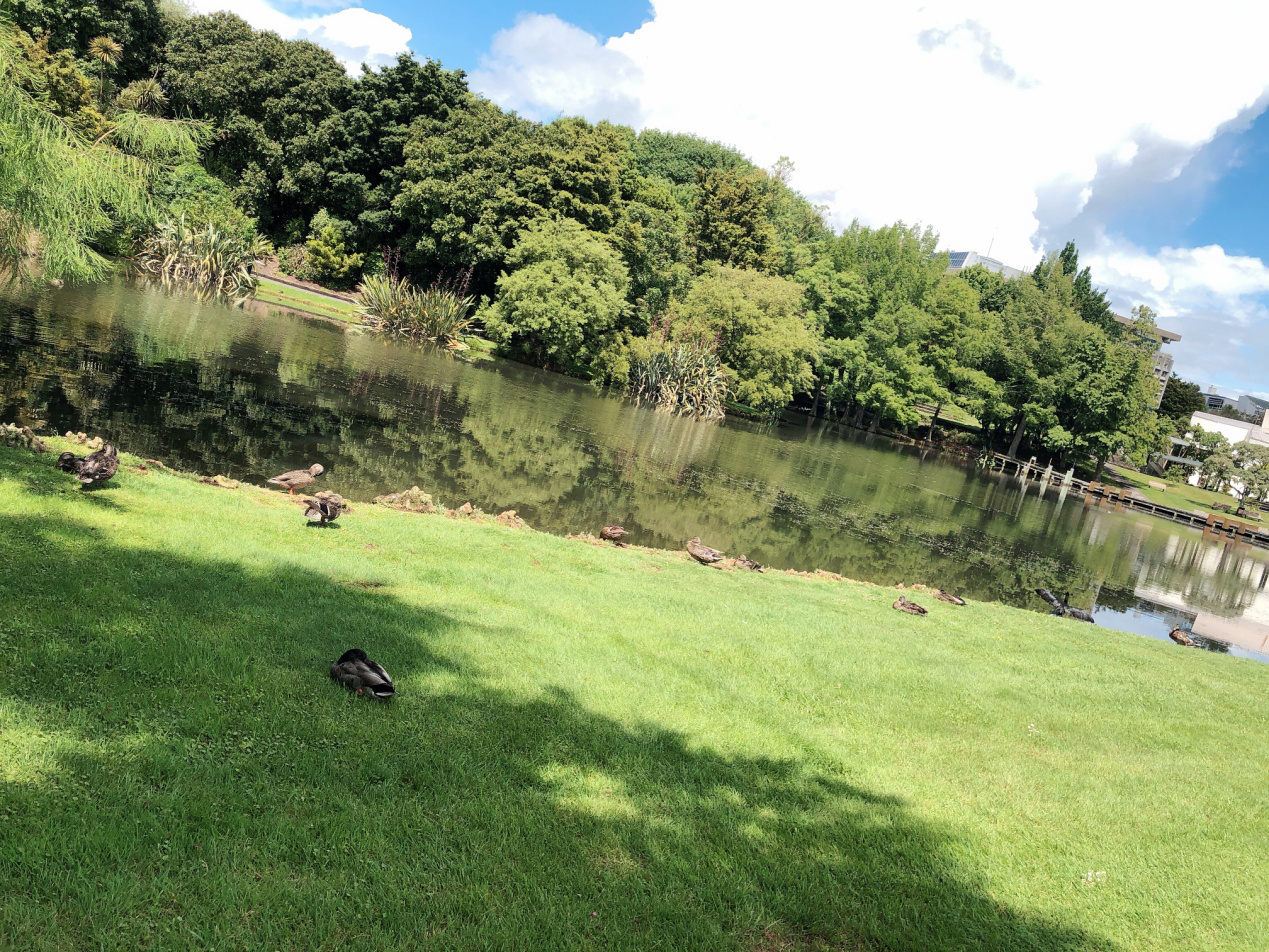 留学去新西兰怎么样,新西兰硕士留学条件