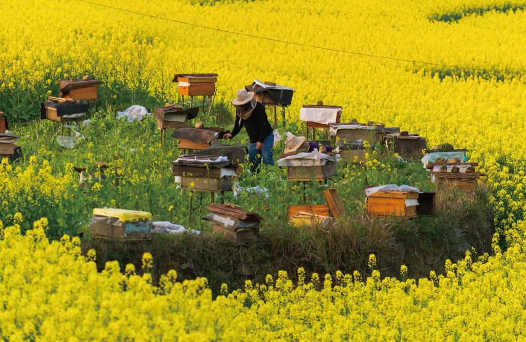 仁怀有哪些美景,仁怀新增旅游景点