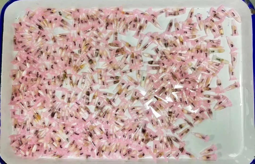 每天收到陌生人转账自己能花吗,不要轻易向陌生人转账后面是什么