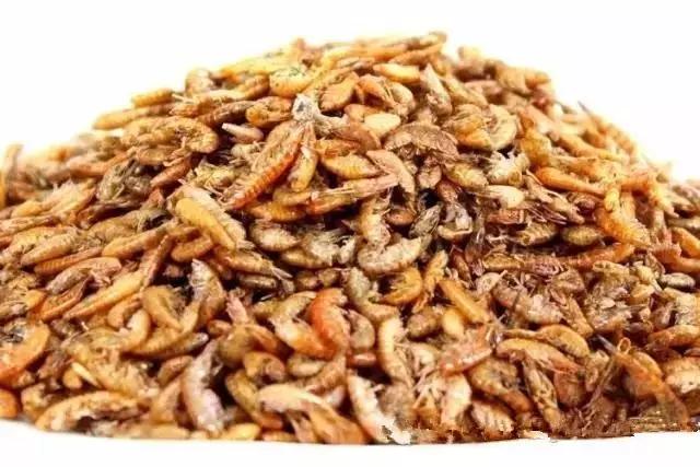 罗汉鱼是不是越凶越容易起头,古典罗汉鱼身板宽好吗