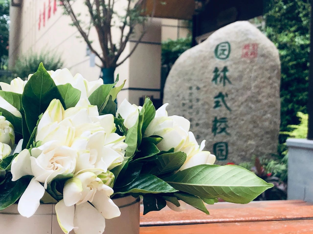 南京教育现代化初中名单,南京鼓楼区初中教育集团