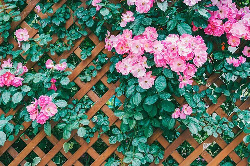 中海基金许定晴简历,中海基金许定晴