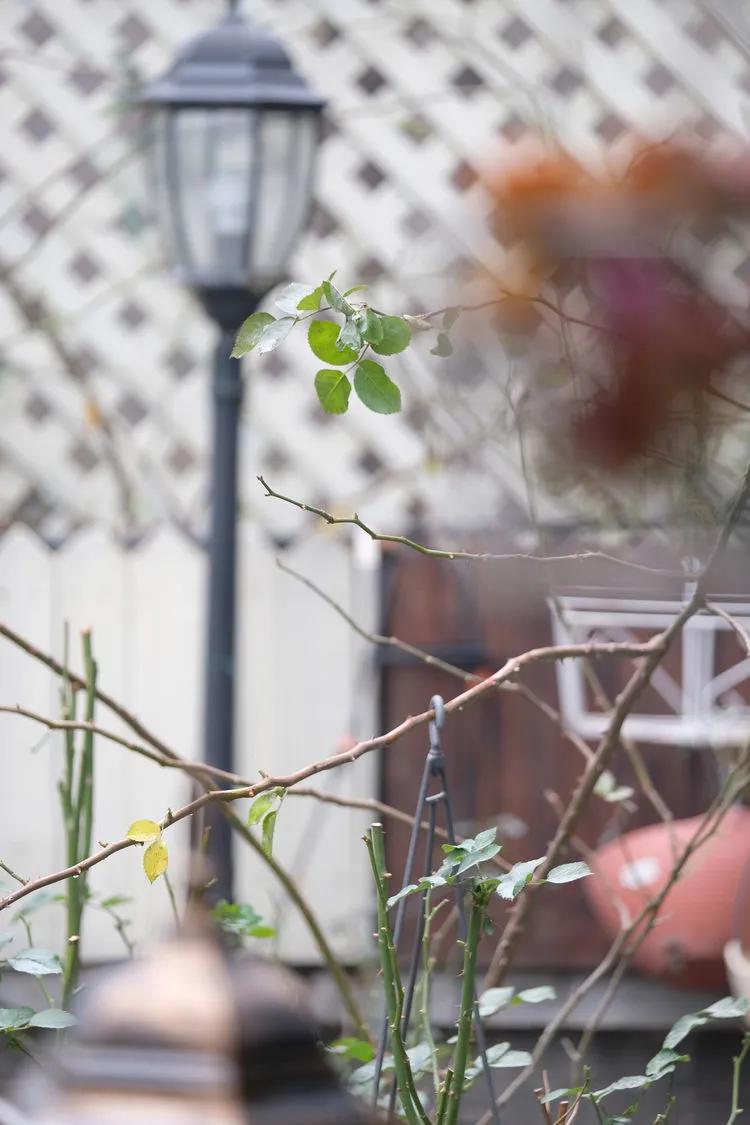 三年前买了套绿地110平三房130万,三年前耗资百万打造小院出售