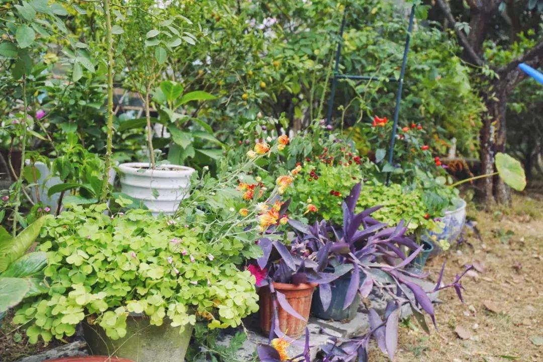 常熟明日星洲2015年房价,常熟买房明日星城