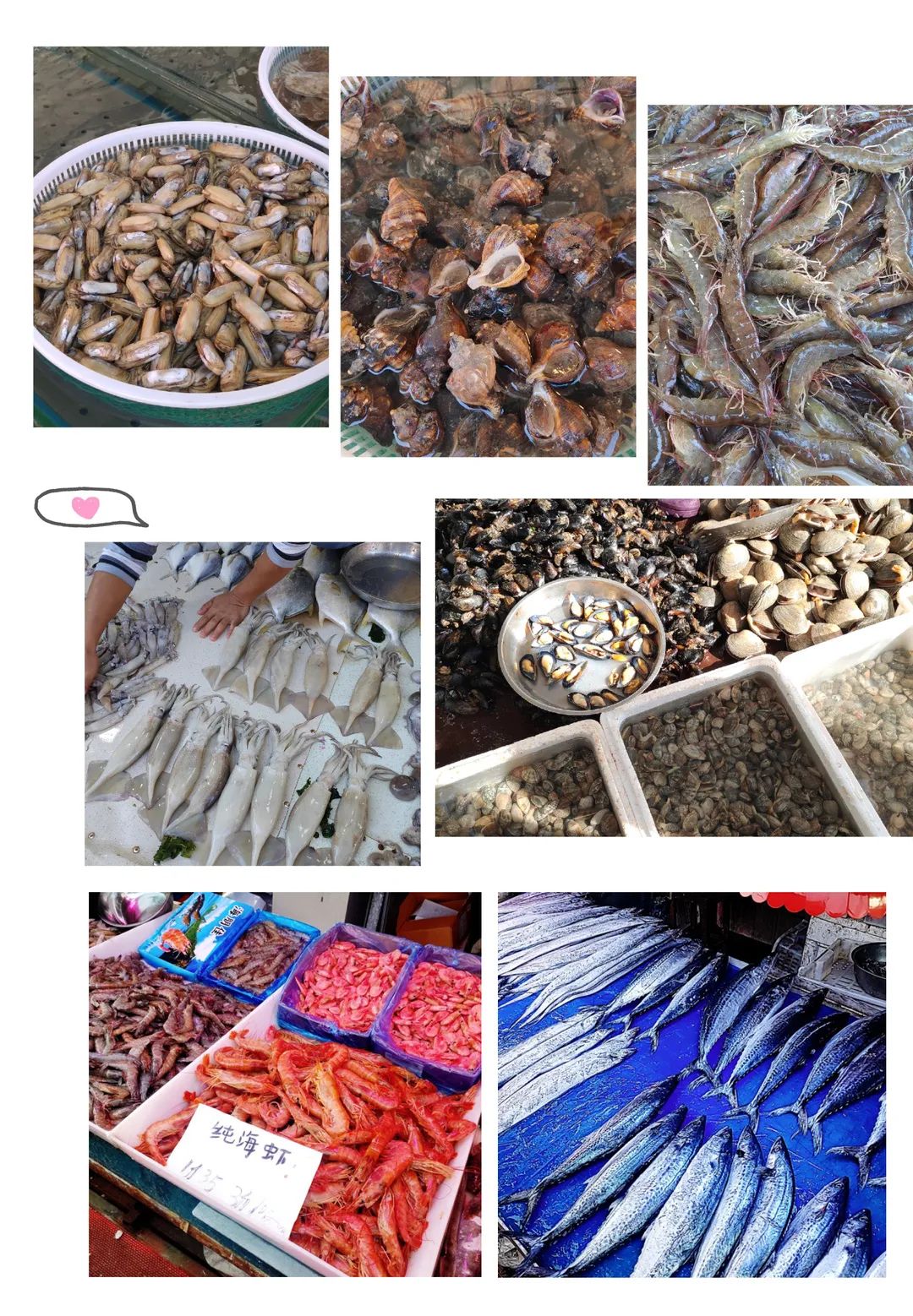 现在去大连适合旅游吗,要去大连怎么去