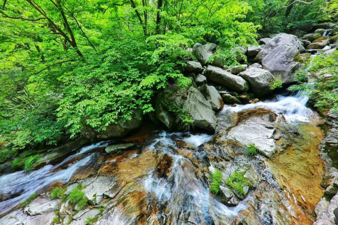 16℃的夏天,26亿年前形成的峡谷,奇山瀑布,全藏在六安天然氧吧