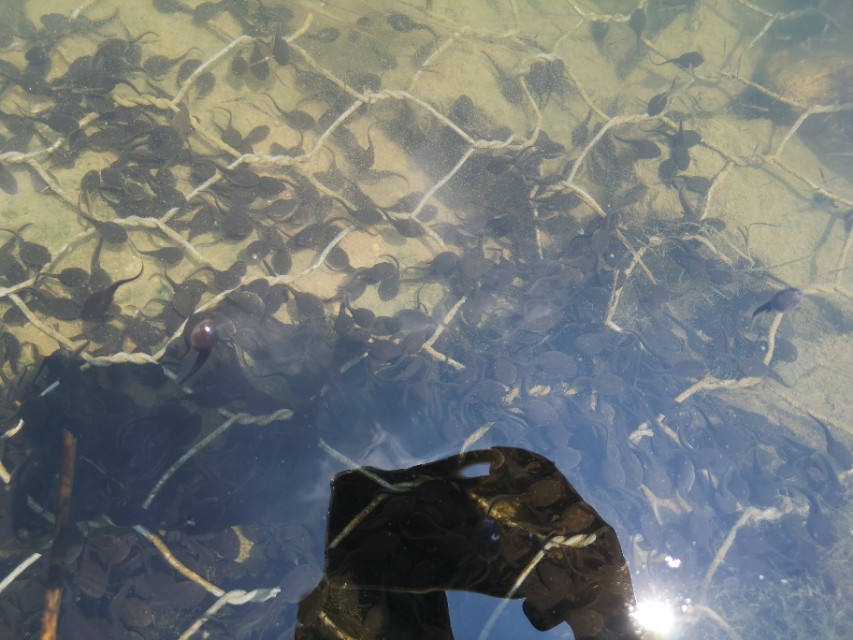 鍛ㄦ湯蹇箰鍨傞挀,鍛ㄦ湯蹇箰鍨傞挀瑙嗛