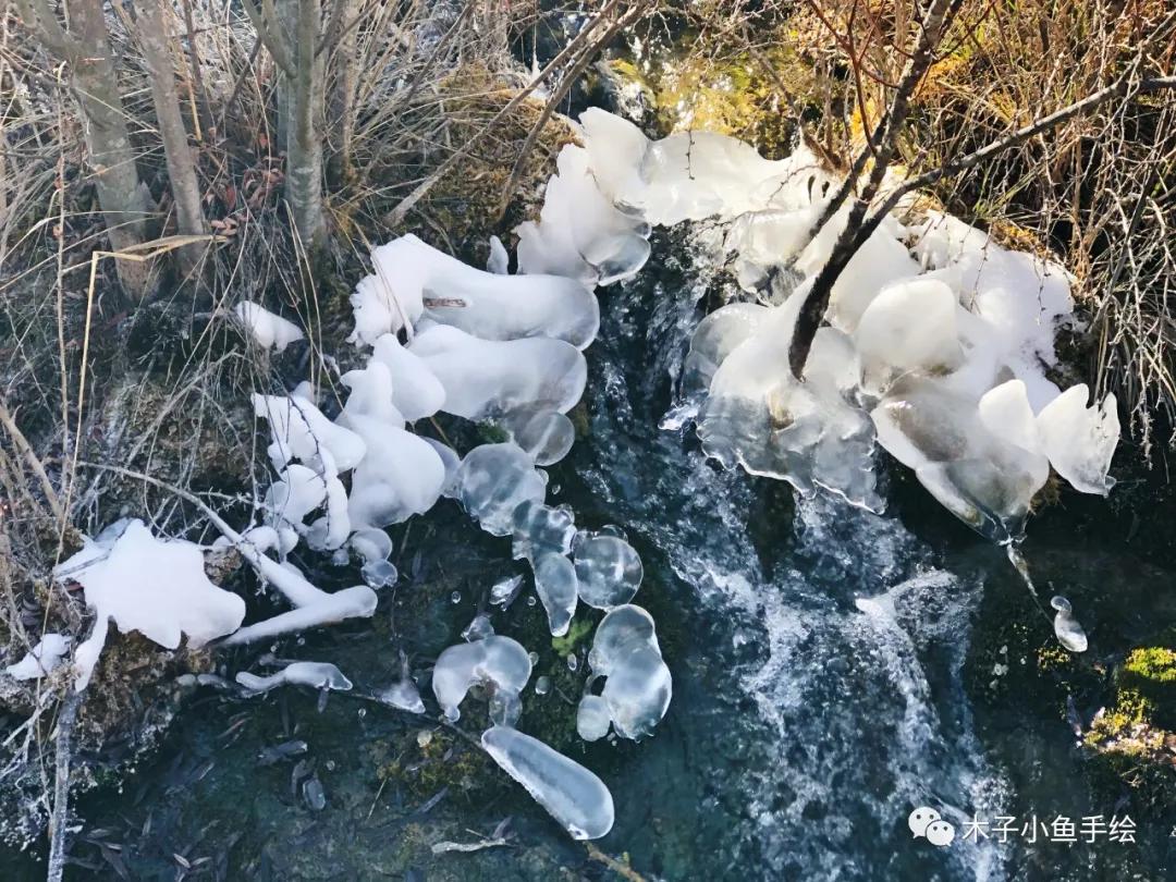 2021九寨沟官方视频,九寨沟跨年夜