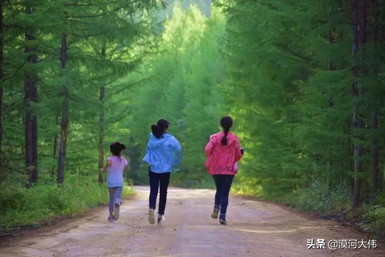 森林草原自驾游,森林亲子旅游攻略图片大全