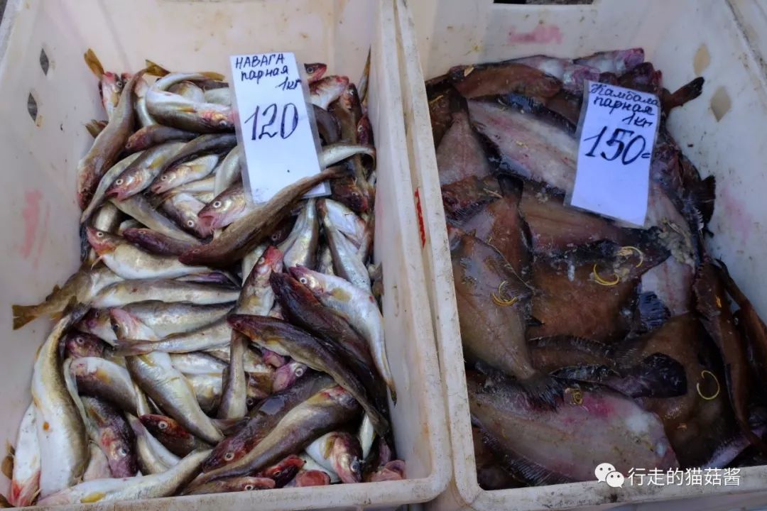 俄罗斯海参崴高端团自由行,俄罗斯海参崴吃喝攻略